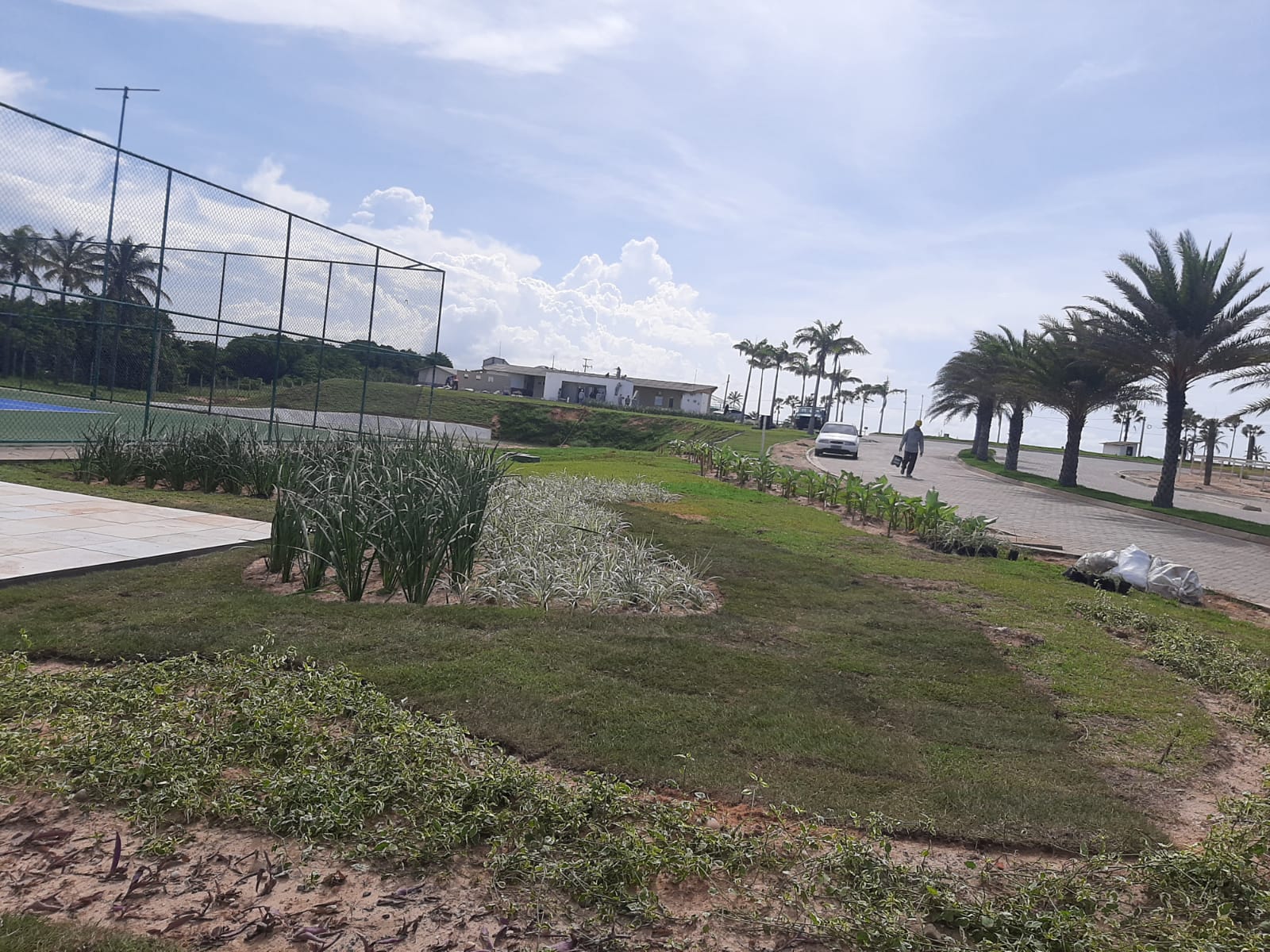 Paisagismo empresa